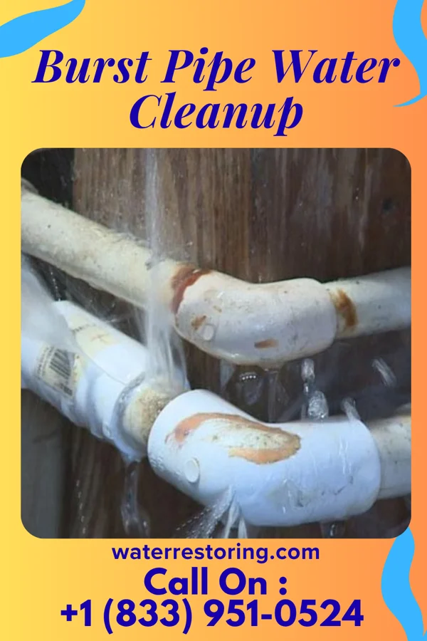 Burst Pipe Water Cleanup in Nehawka, NE